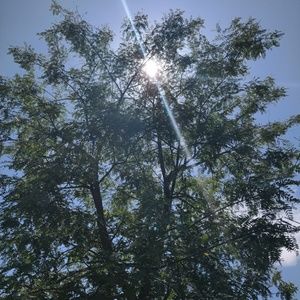 Meet your Posher, Kaylah